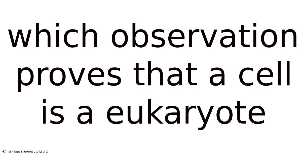 Which Observation Proves That A Cell Is A Eukaryote