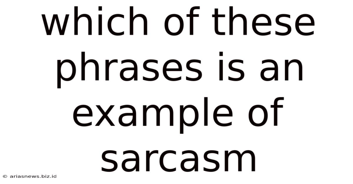 Which Of These Phrases Is An Example Of Sarcasm