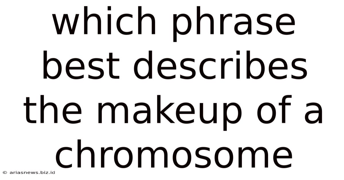 Which Phrase Best Describes The Makeup Of A Chromosome