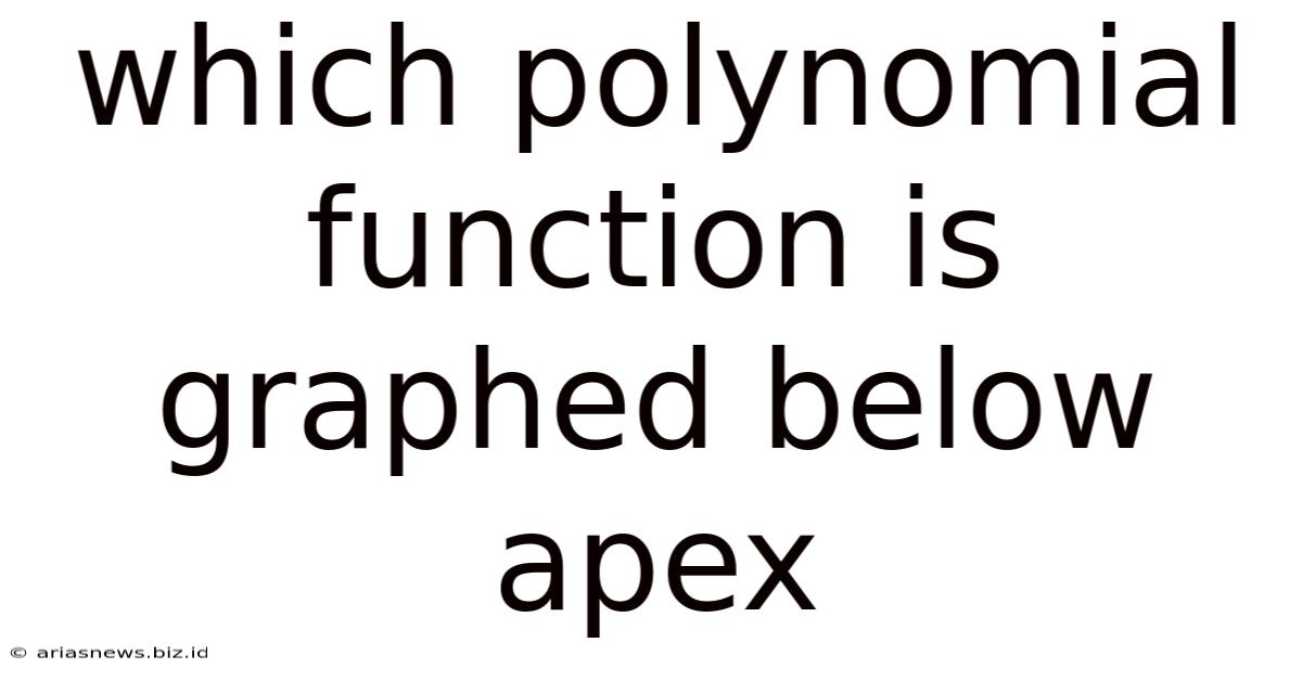 Which Polynomial Function Is Graphed Below Apex