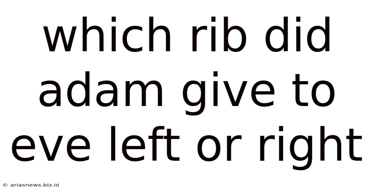 Which Rib Did Adam Give To Eve Left Or Right