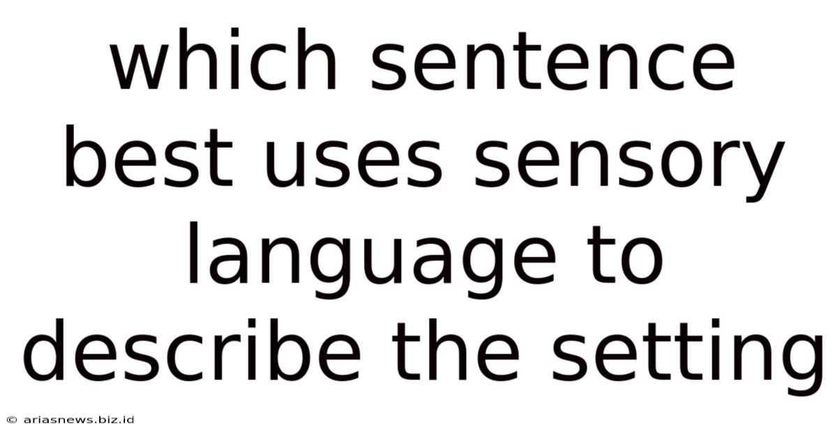 Which Sentence Best Uses Sensory Language To Describe The Setting