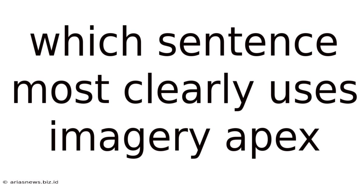 Which Sentence Most Clearly Uses Imagery Apex