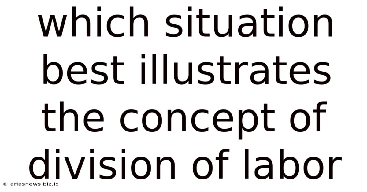 Which Situation Best Illustrates The Concept Of Division Of Labor
