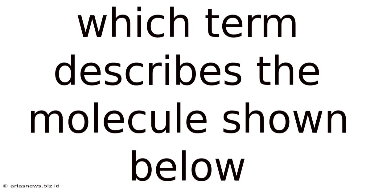 Which Term Describes The Molecule Shown Below