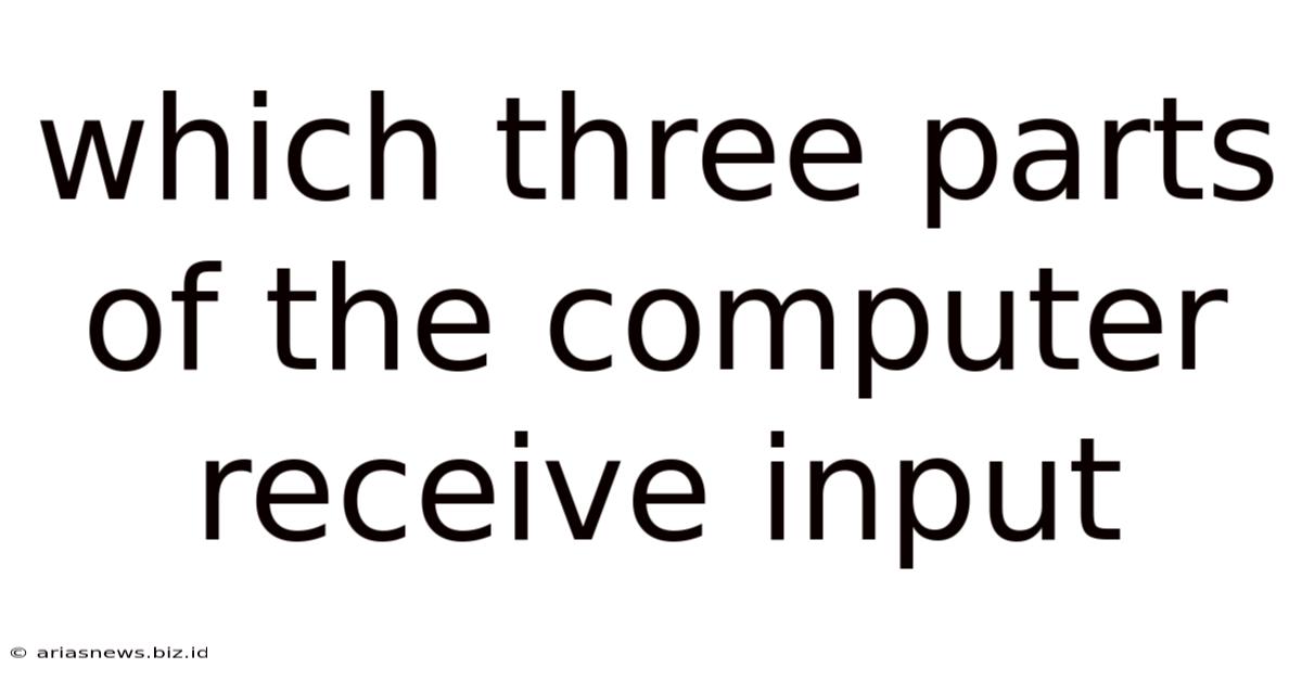 Which Three Parts Of The Computer Receive Input