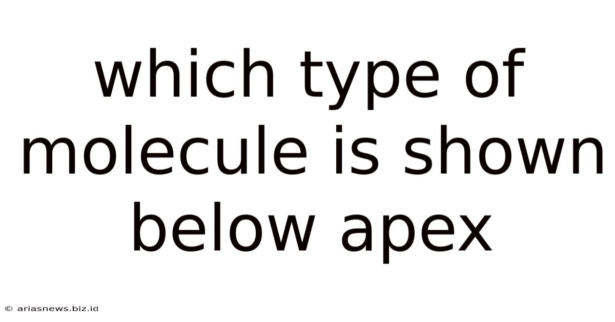 Which Type Of Molecule Is Shown Below Apex