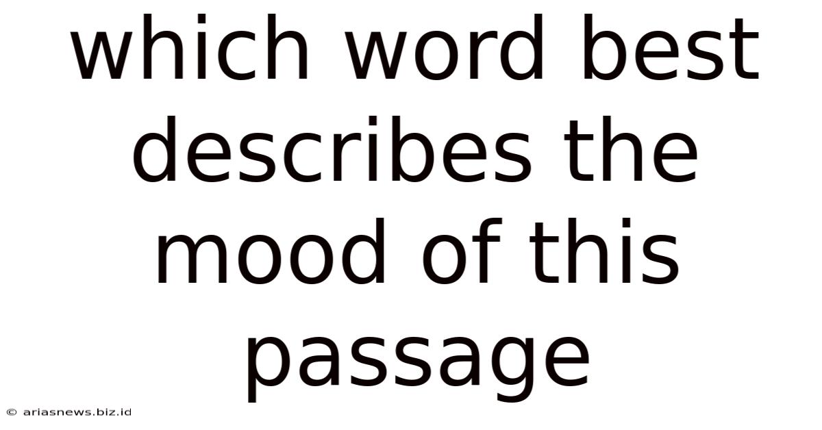 Which Word Best Describes The Mood Of This Passage
