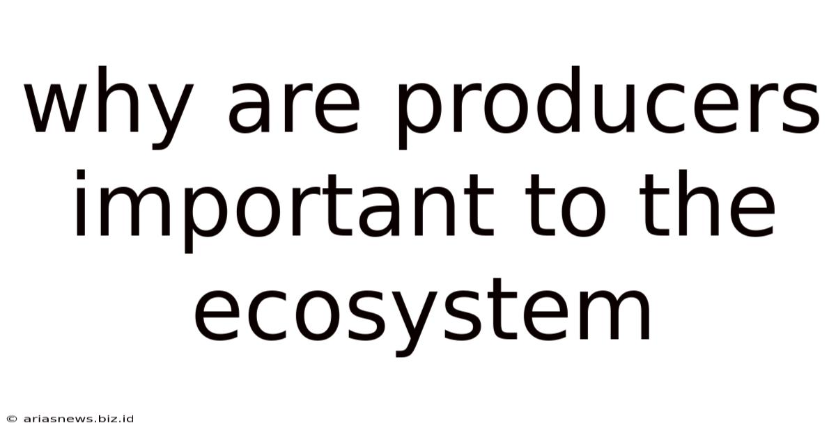 Why Are Producers Important To The Ecosystem