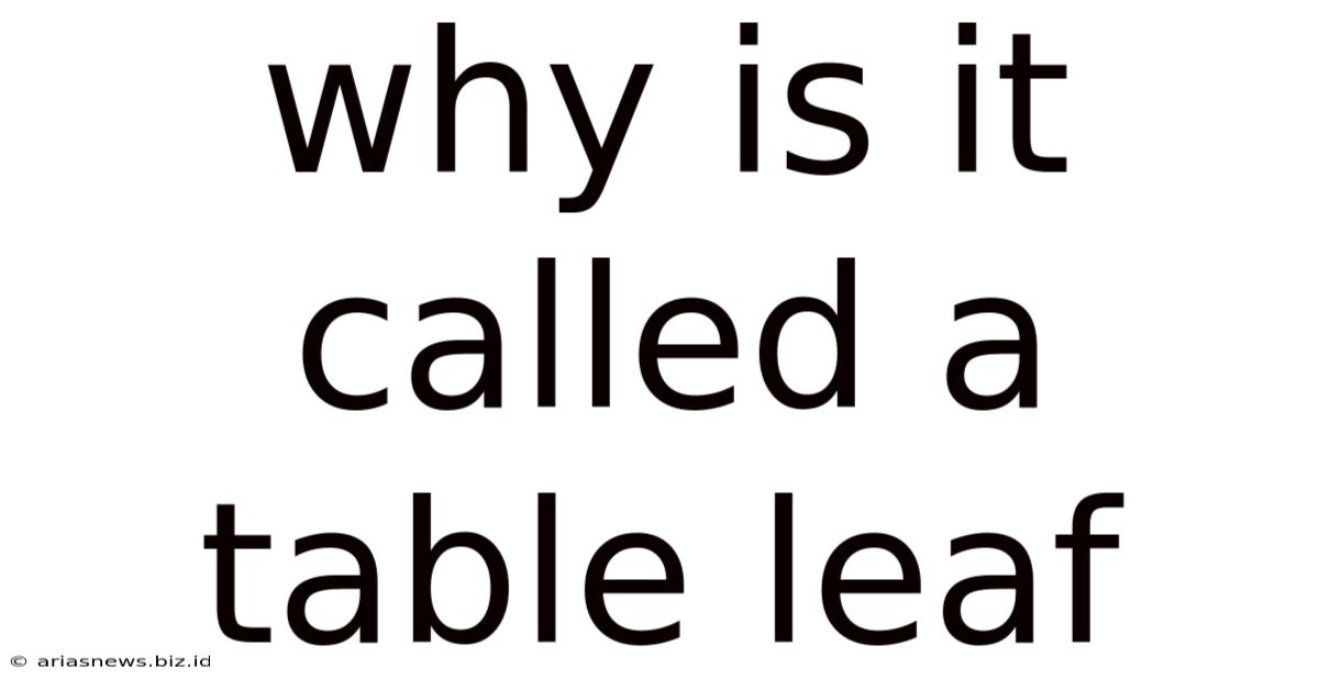 Why Is It Called A Table Leaf