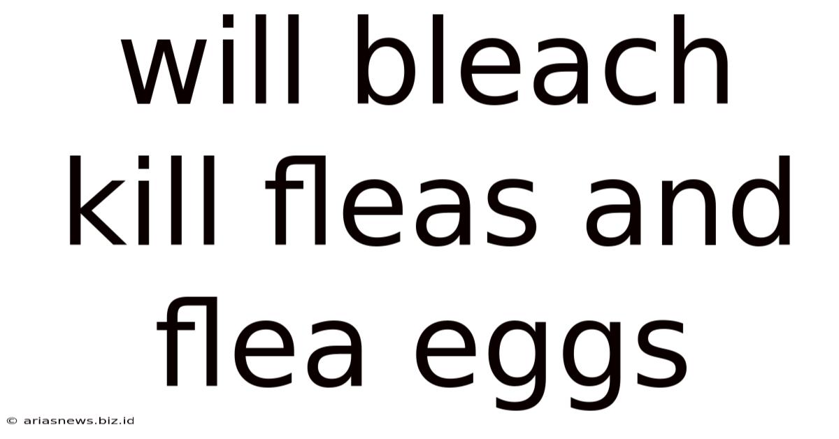 Will Bleach Kill Fleas And Flea Eggs