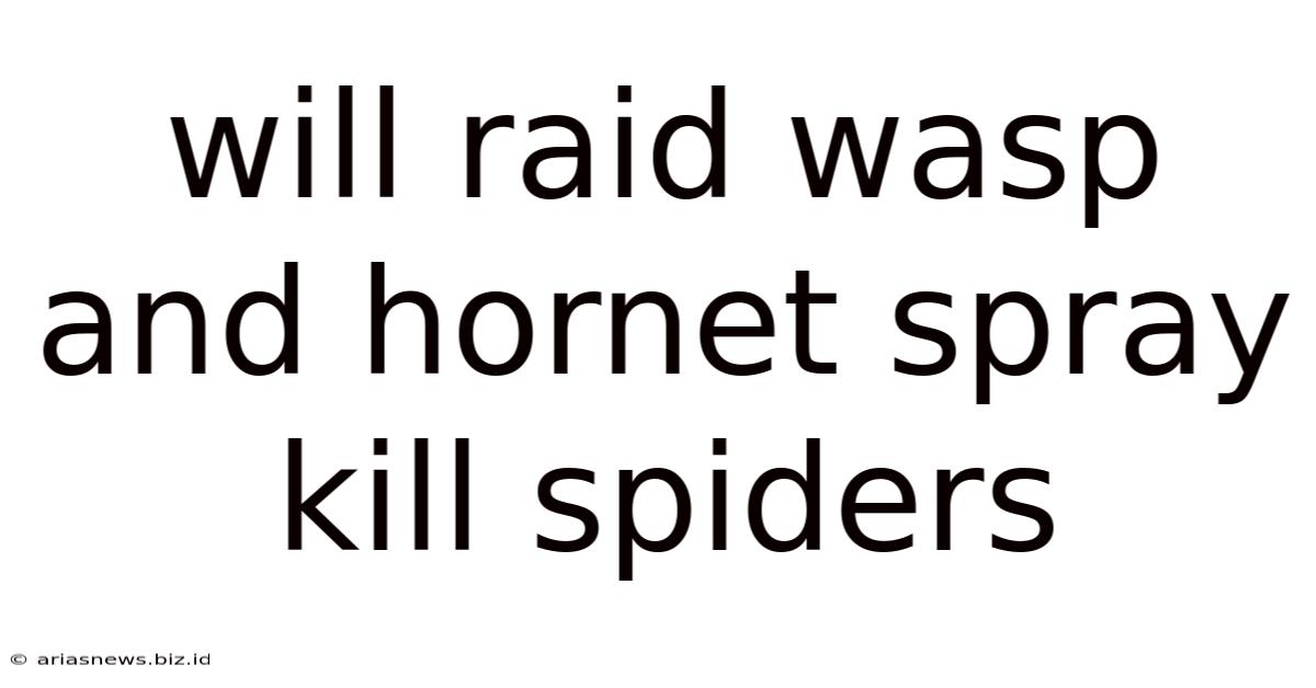 Will Raid Wasp And Hornet Spray Kill Spiders